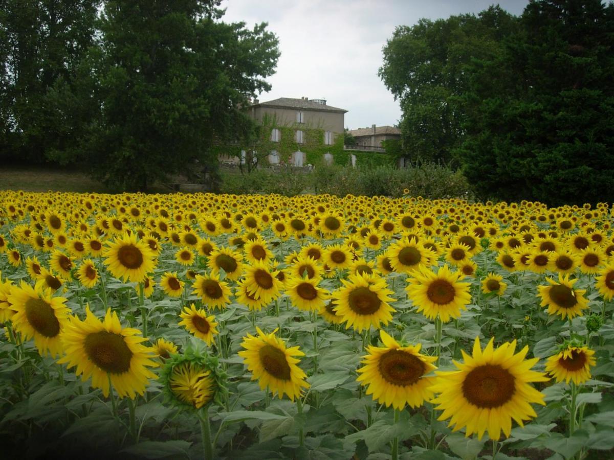 Domaine de Lamartine Pont-Saint-Esprit Extérieur photo